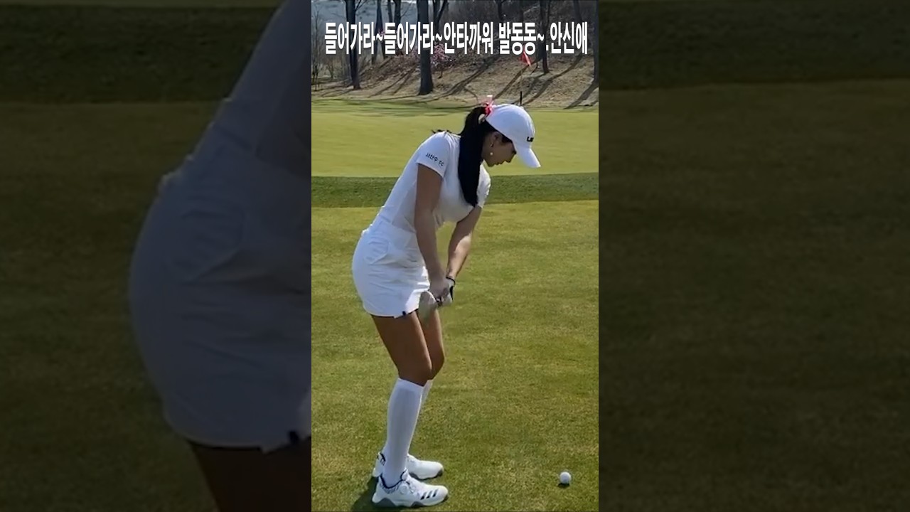 들어가라~들어가라~안타까워 발동동~.안신애