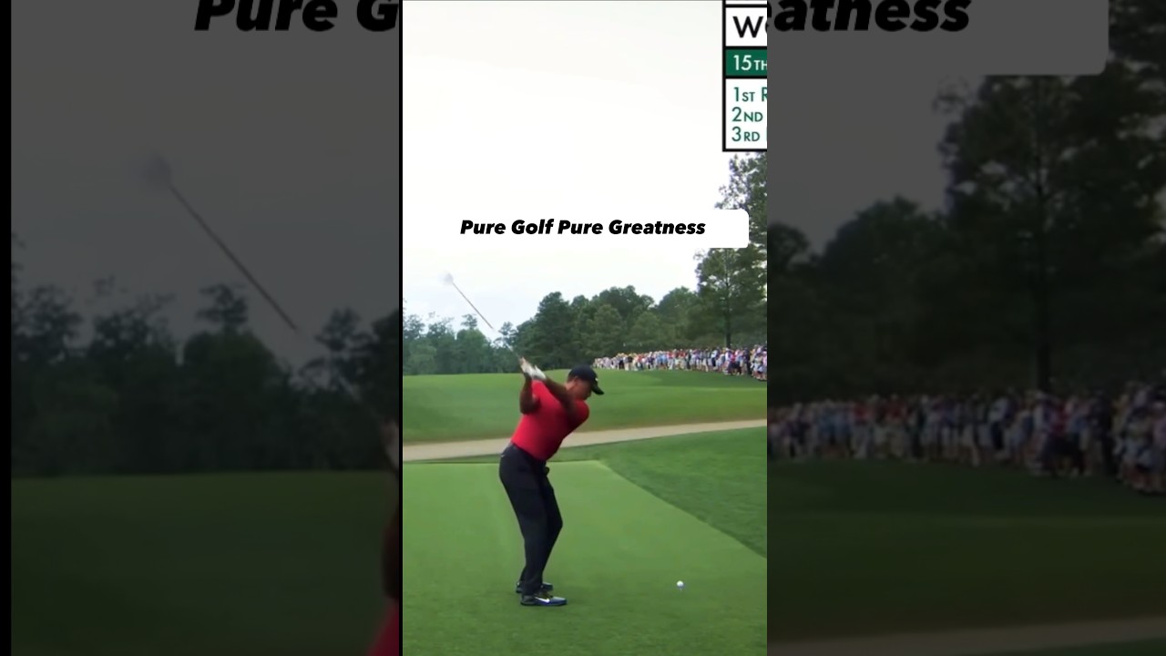 Tiger Woods pure golf pure greatness