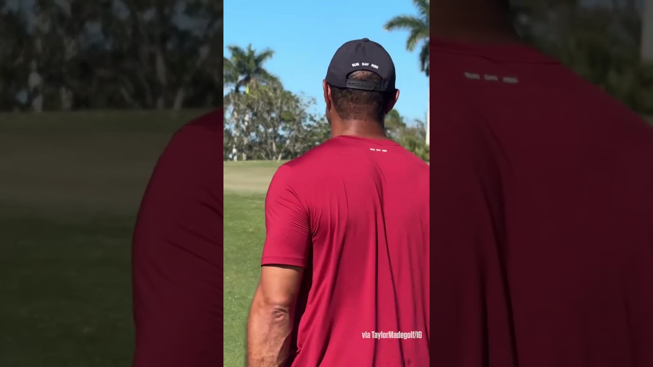 Tiger Woods has still got it! 😅 #shorts