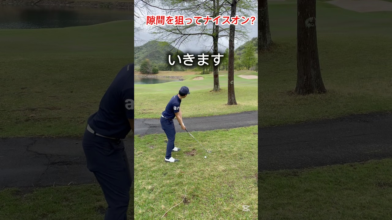 木々の隙間を通してナイスオン！？#ゴルフ #ゴルフレッスン #ゴルフスイング #shorts #golf