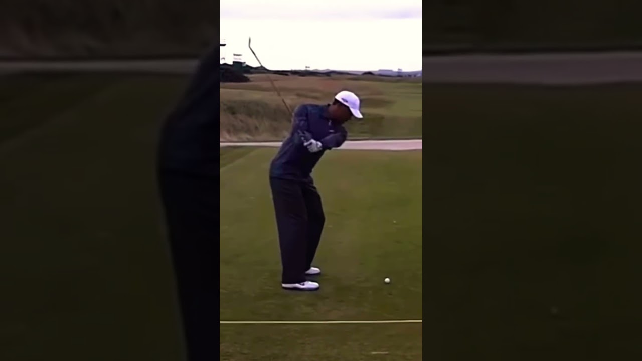 Tiger Woods Stinger Swing