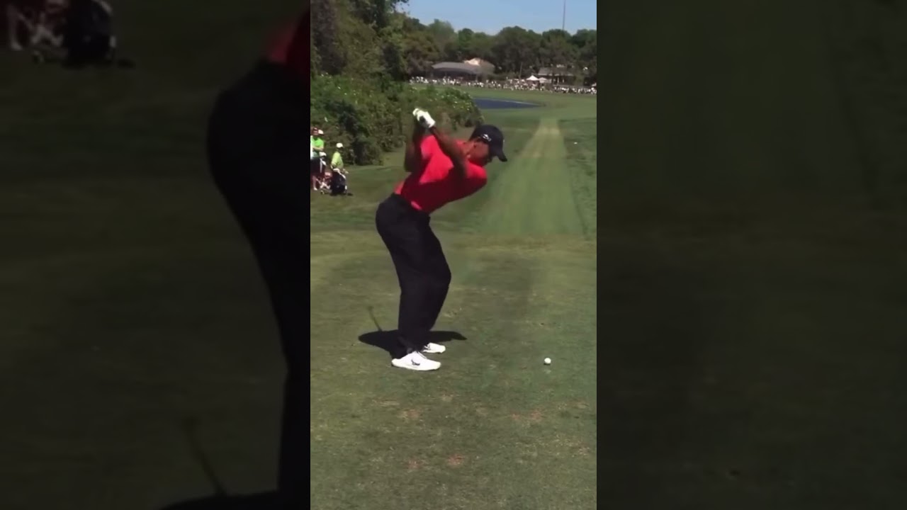 Tiger Woods 3 Wood Swing