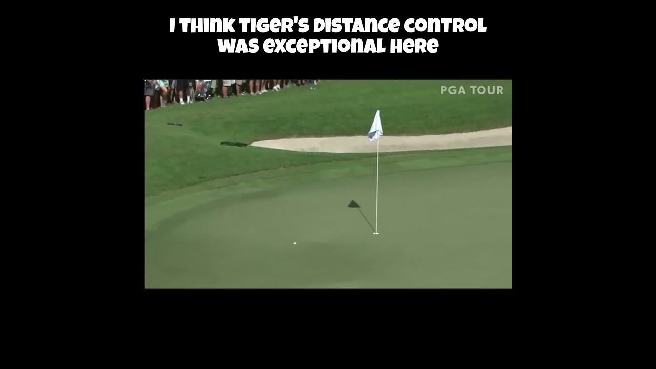 Tiger Woods Hits Stunning Shot! #golf #tigerwoods #pgatour