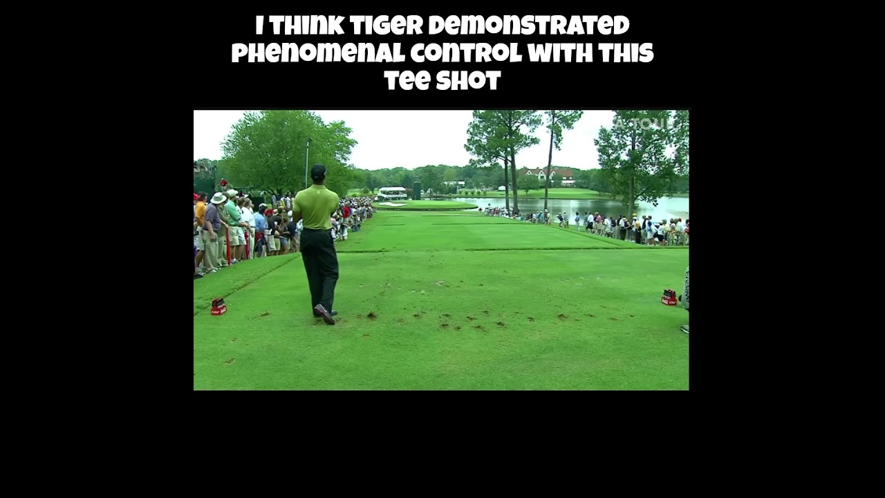 Tiger Woods Amazes With Incredible Tee Shot! #golf #tigerwoods #pgatour