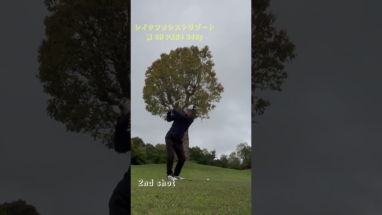 レイクフォレストバードスプリング楠 6H #ゴルフ #松山英樹 #パッティング #上田桃子 #ドローボール #SRIXON #ゴルフ練習 #ゴルフ女子 #golf  #ドライバー