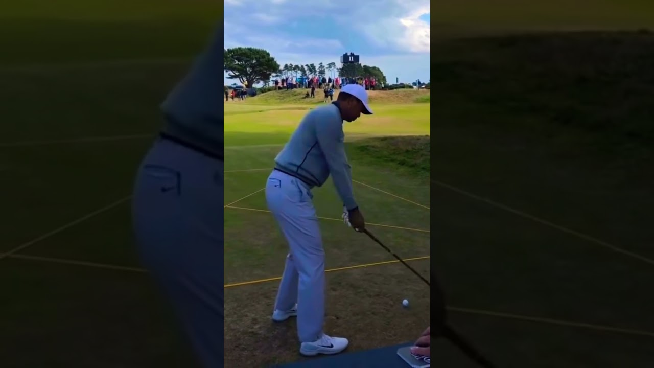 Tiger Woods Stinger Swing