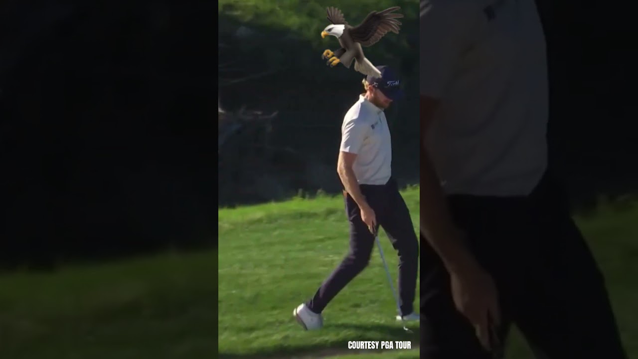 SICK hole-out #golf #pga #pgatour