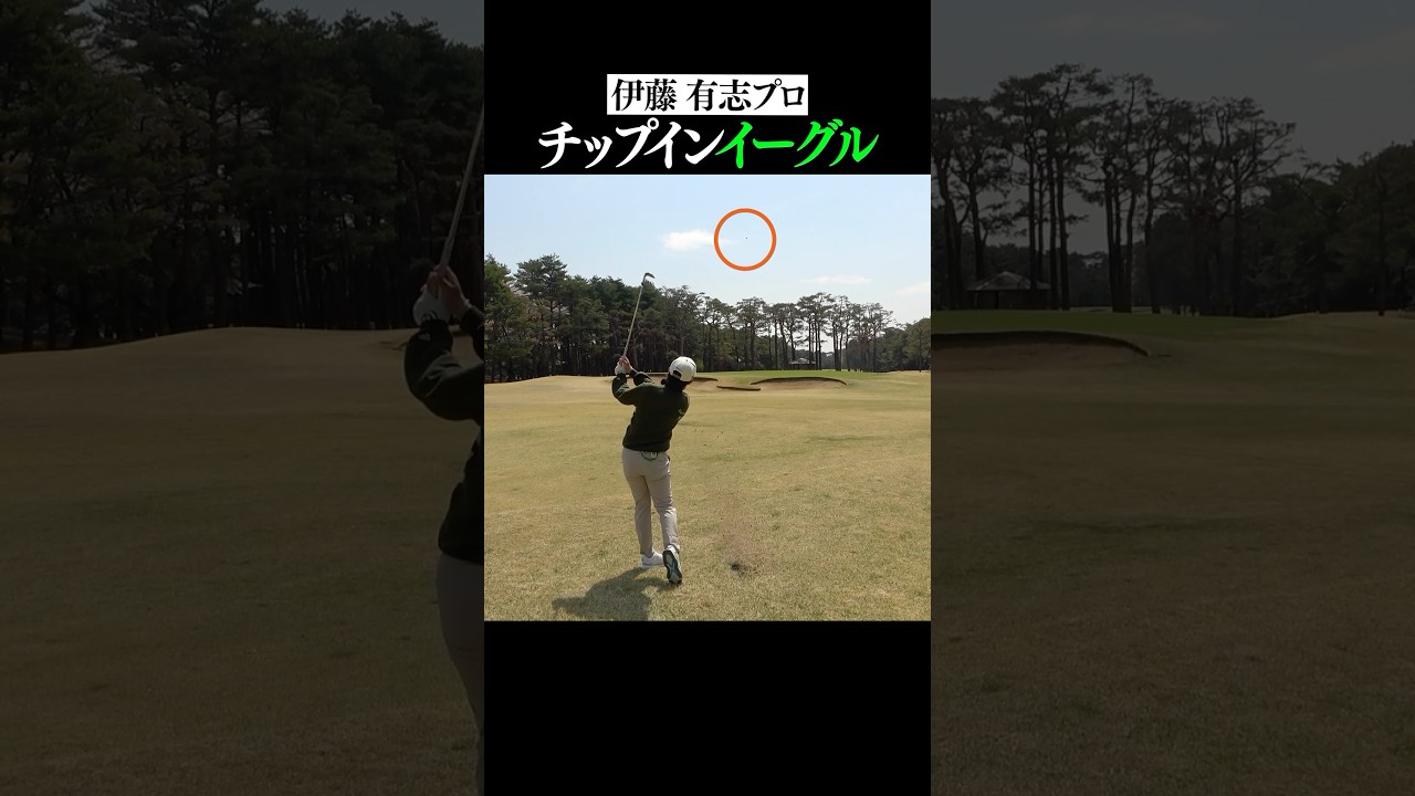 【凄すぎ】綺麗なバックスピンでボールが消えた！？チップインイーグル！#shorts #イーグル#チップイン#伊藤有志#大西葵