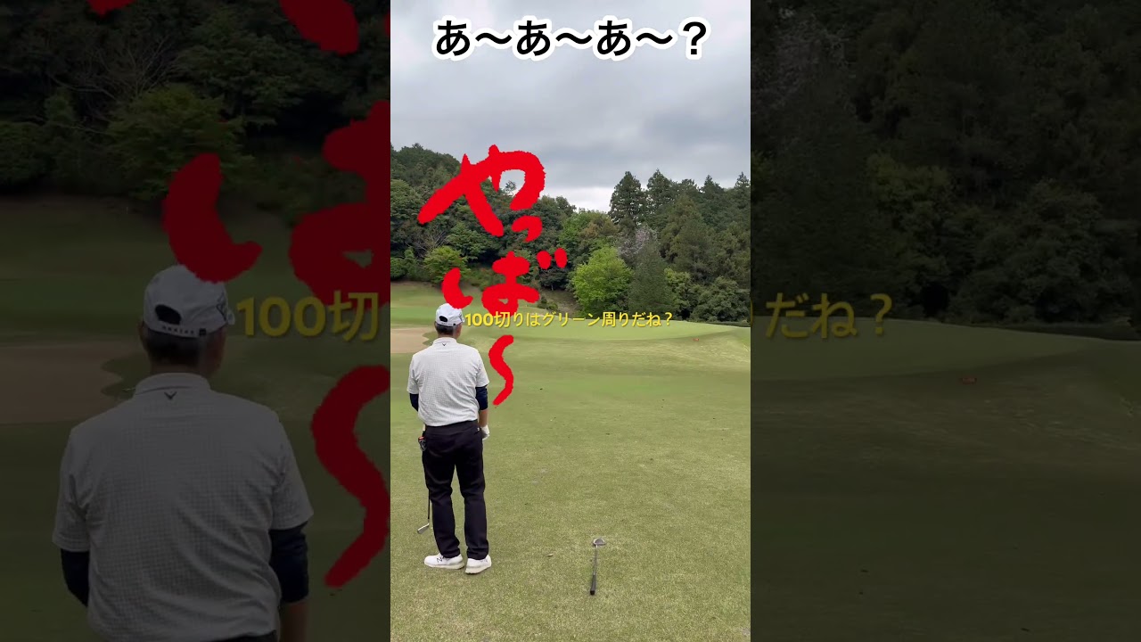 100切りはグリーン周りで決まり#shorts  #ゴルフ  #ゴルフ女子  #ゴルフ初心者  #ゴルフスイング  #google  #golf  #youtube  #100 #good #笑う