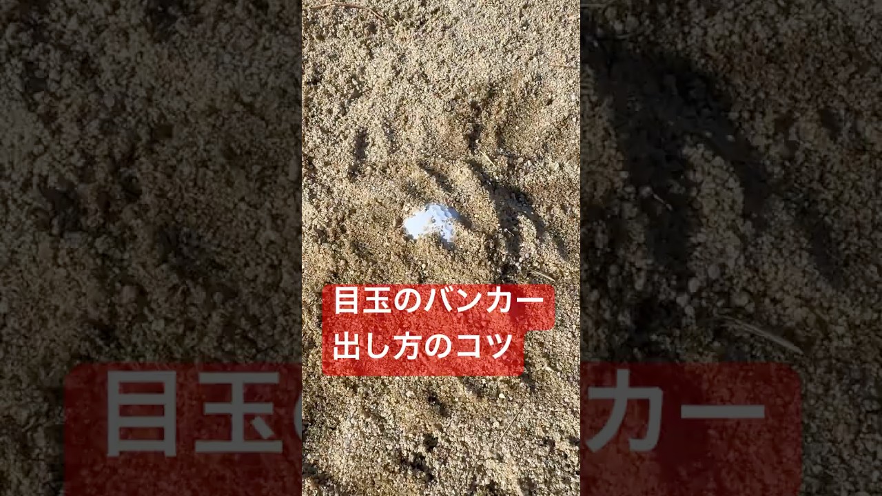 【衝撃】超目玉のバンカー打ち方のコツ！【ゴルフレッスン】バンカー脱出法！ #short #shorts