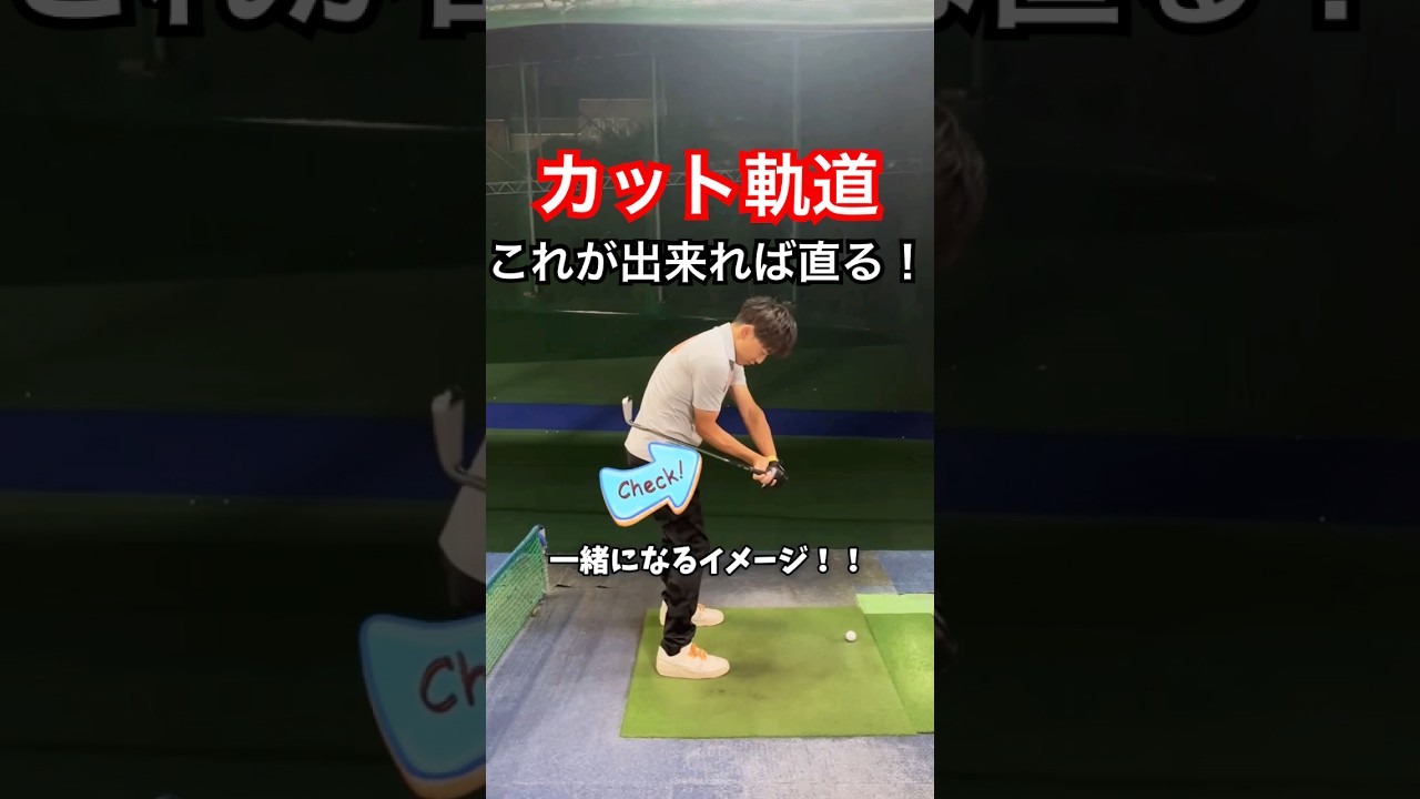 カット軌道はこの練習が1番上達！#ゴルフ #ゴルフレッスン  #ゴルフスイング #ゴルフ初心者  #ゴルファー  #golf #golfswing #golfer #golftips #shorts