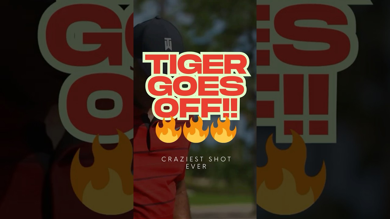 Tiger Woods Challenges Him… Then Hits the CRAZIEST Shot Ever 🤯🔥 #shortsvideo #golf #youtubeshorts