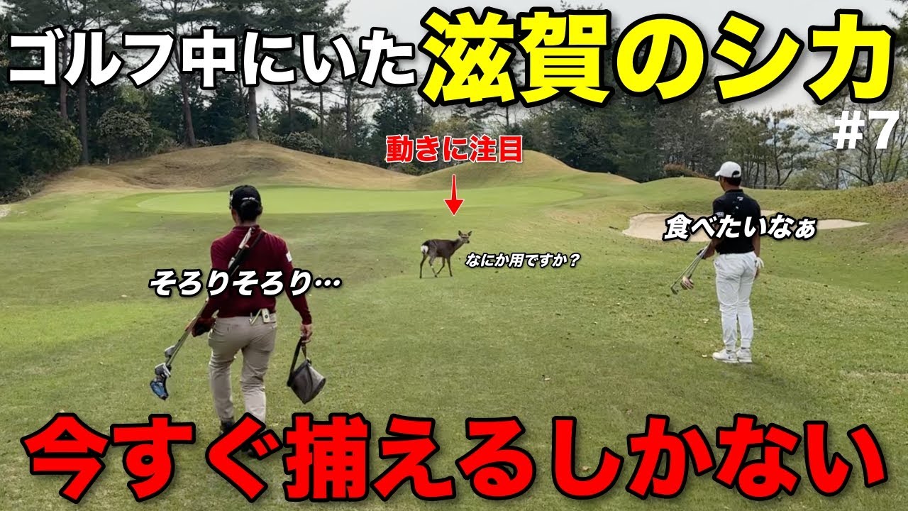 急に現れた生物とだるまさんが転んだ⁉︎本気で捕まえに行きます。【#7 メイプルヒルズゴルフ倶楽部4-5H】