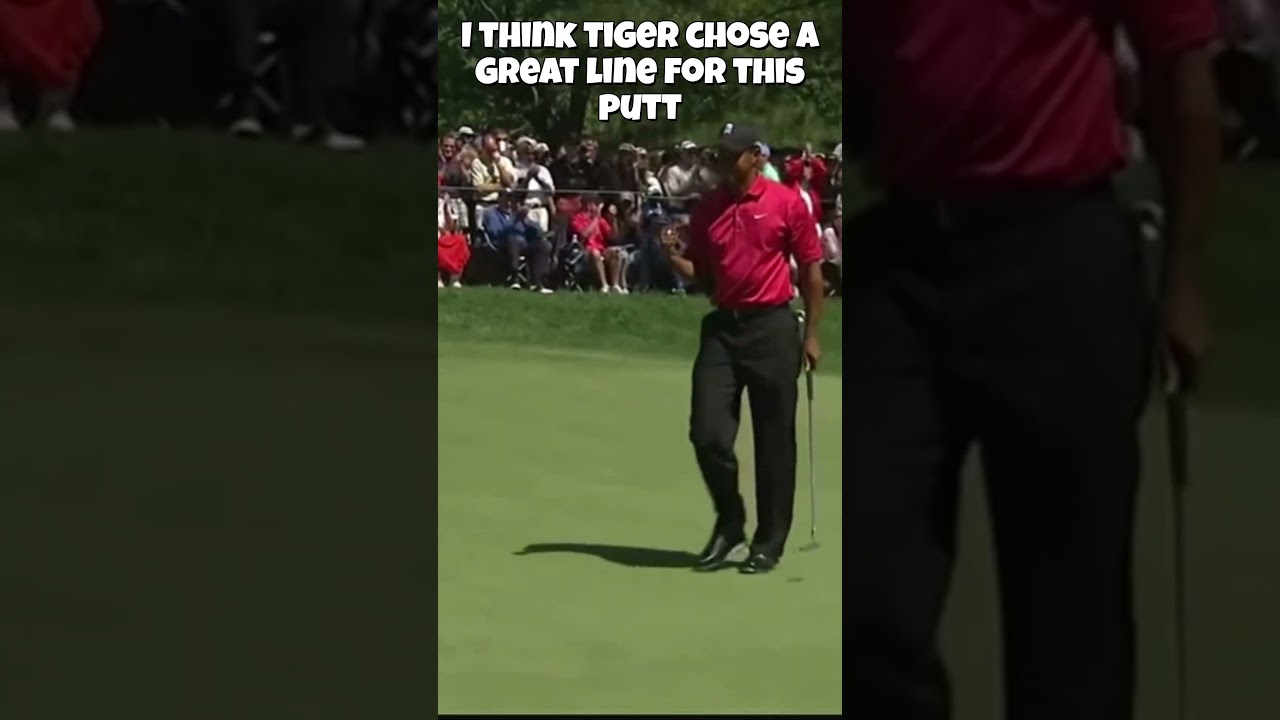 Tiger Woods Makes Stunning Birdie Putt! #golf #tigerwoods #pgatour