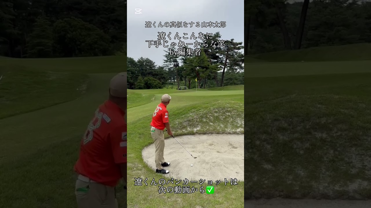 石川遼プロのマネをする山本太郎笑元ネタは関連動画から見ることができます👀#ゴルフ #石川遼 #golf #山本太郎