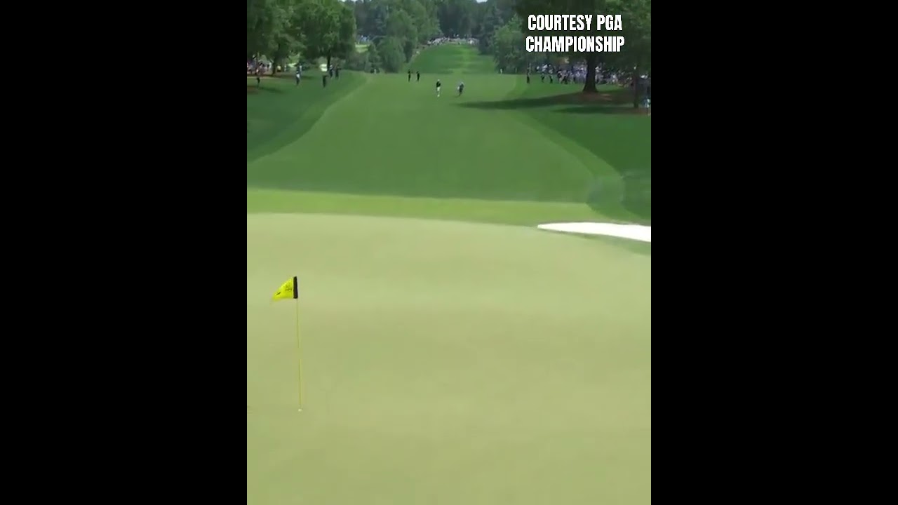 Bryson DeChambeau gets OVER the tree trouble to set up a birdie putt #pga #pgachampionship #golf