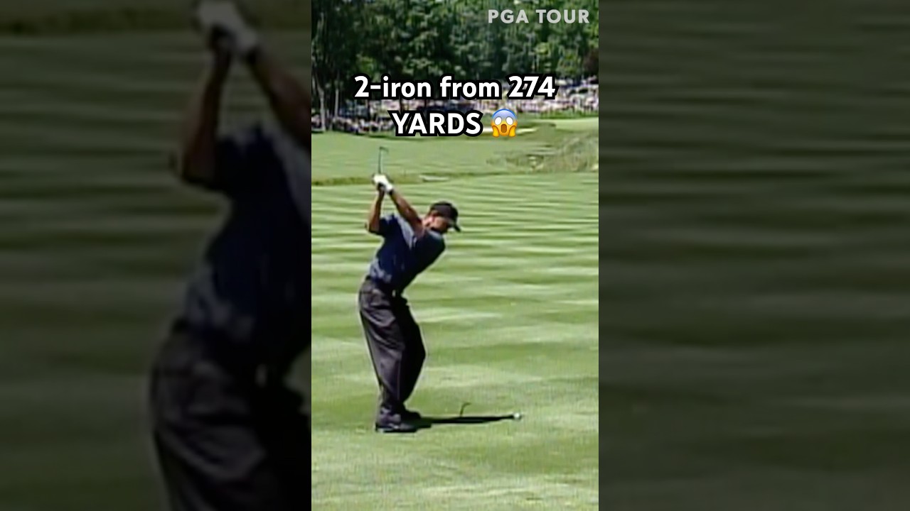 Just Tiger Woods things 🐅