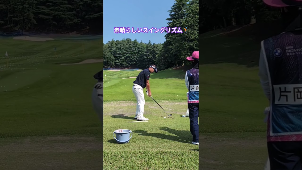 片岡大育プロのリズムが素晴らしい＃片岡大育#shortvideo #ゴルフ #ゴルフスイング #golf #golfswing