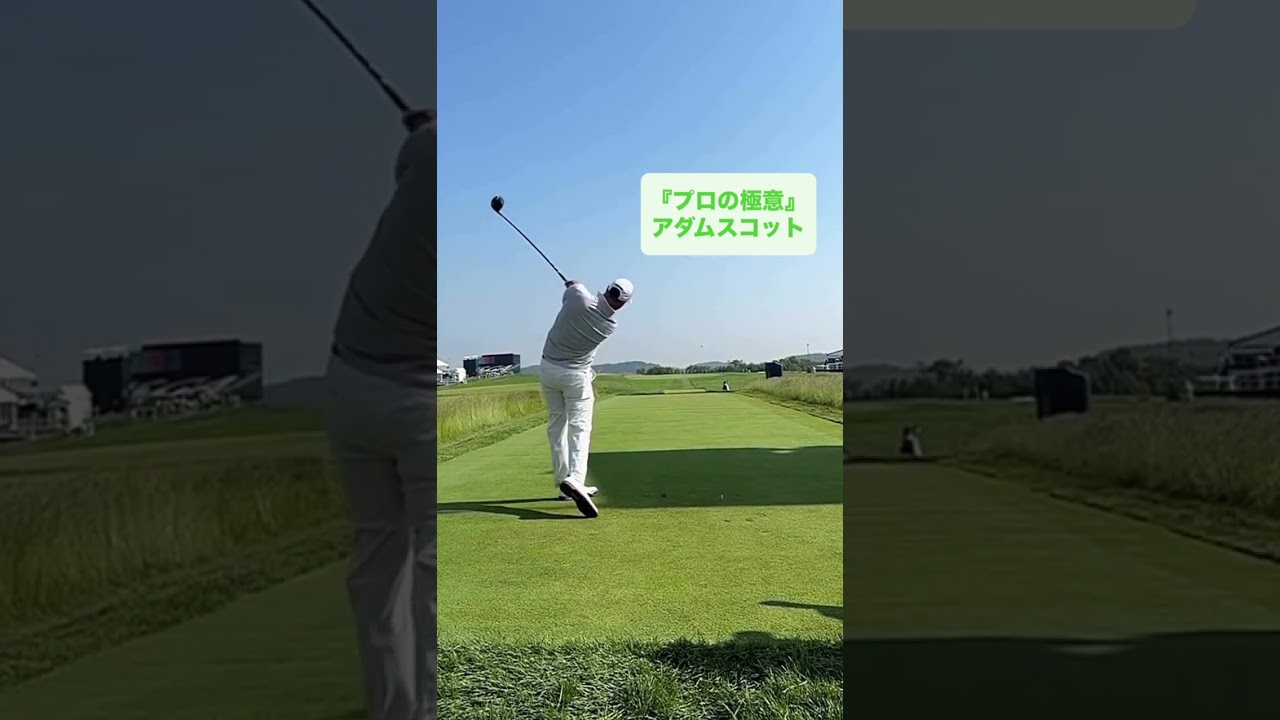 【プロの極意 | Pro’s Secret】アダム・スコットの芸術的スイング | Adam Scott’s Textbook Swing #ゴルフ好きな人と繋がりたい #ゴルフ #golf
