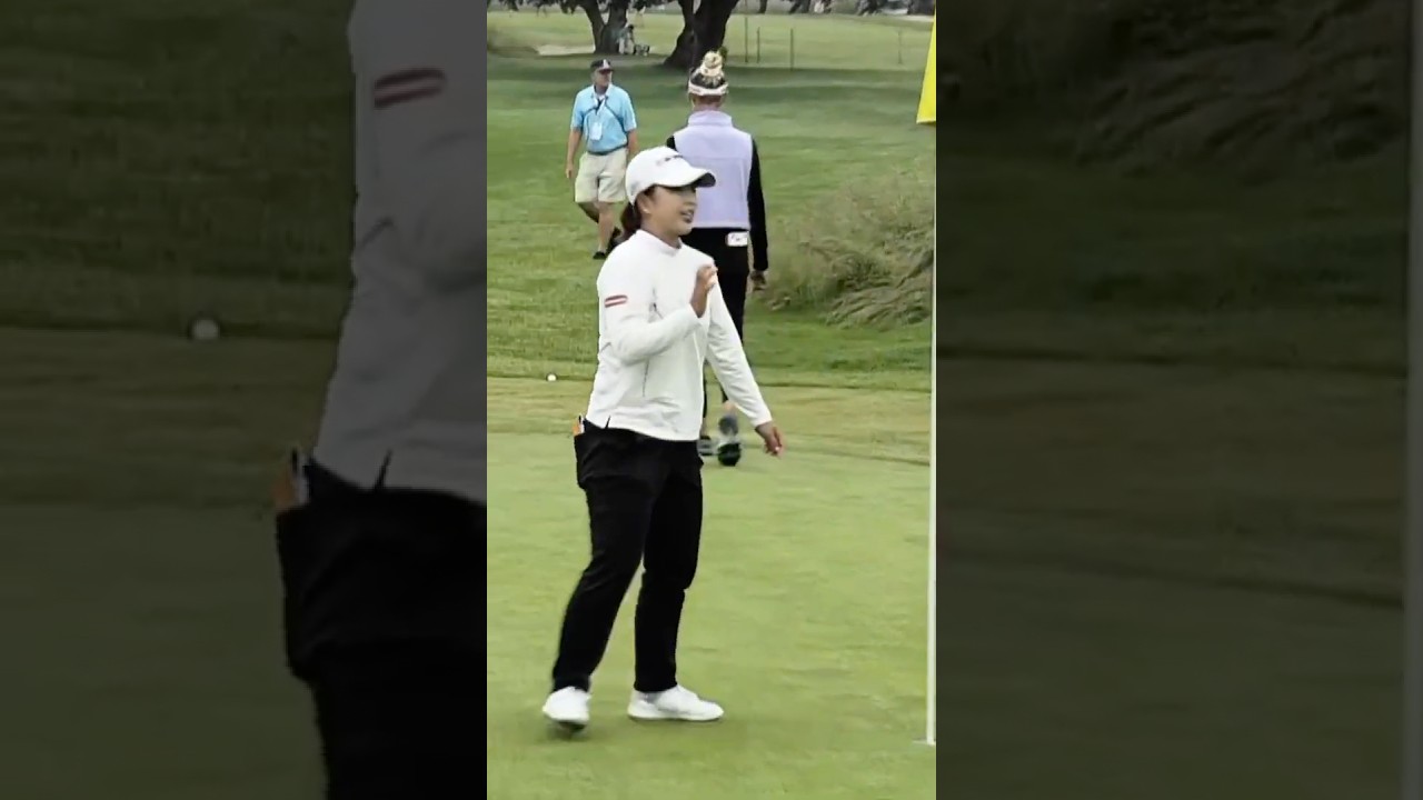 ALBATROSS for Mao Saigo! 😮