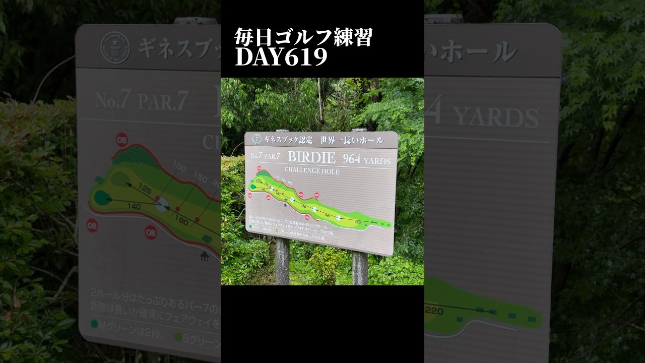 毎日ゴルフ練習619日目#ゴルフ #300ヤード #golf #shorts