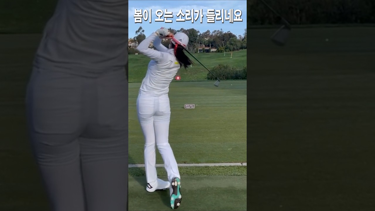 봄이 오는 소리가 들리네요.안신애프로