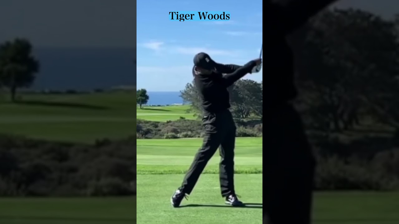 Tiger Woodsのスイング