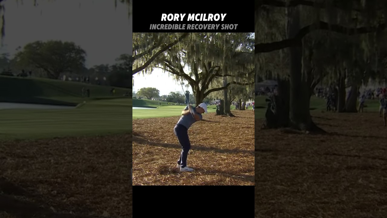 PGA Rory Mcilroy Incredible Recovery Shot #golf