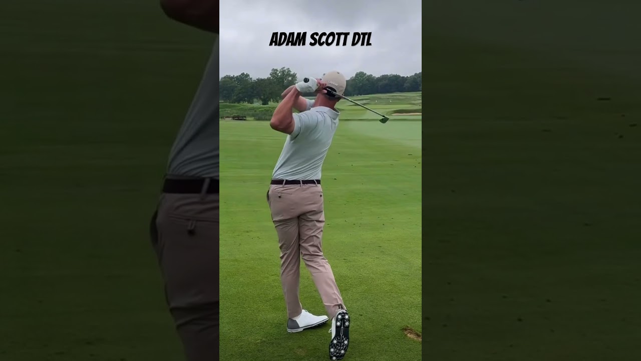 Adam Scott DTL
