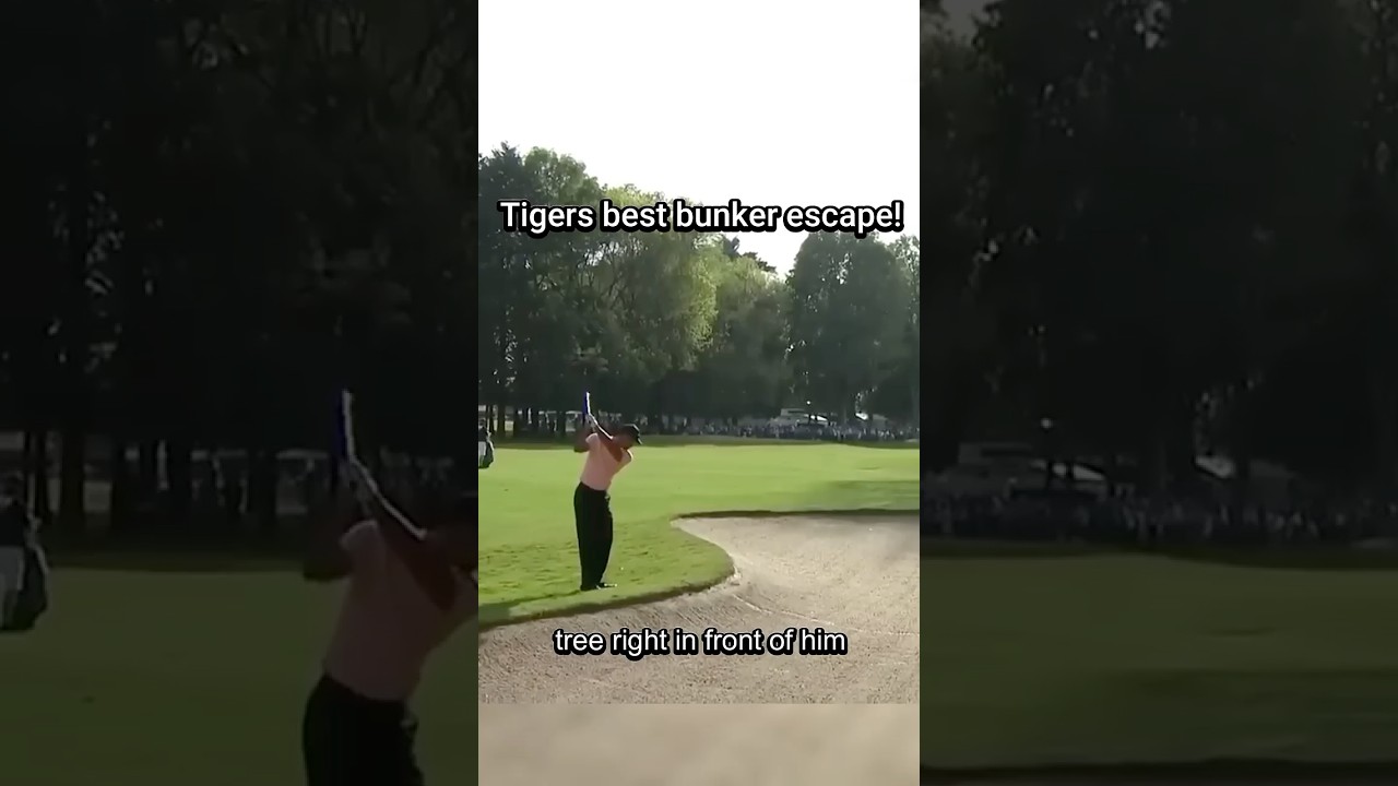 Tiger does the impossible!