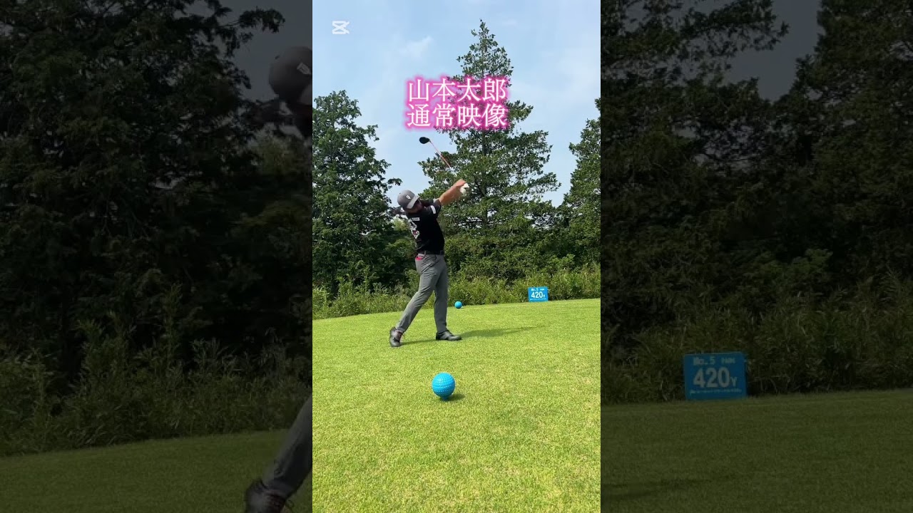 山本太郎ドライバーショット #ゴルフ #golf #ドライバー #山本太郎