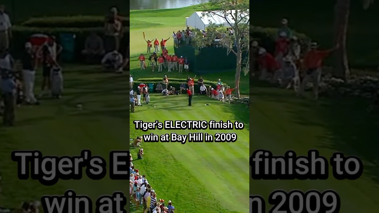 The crowd went crazy!