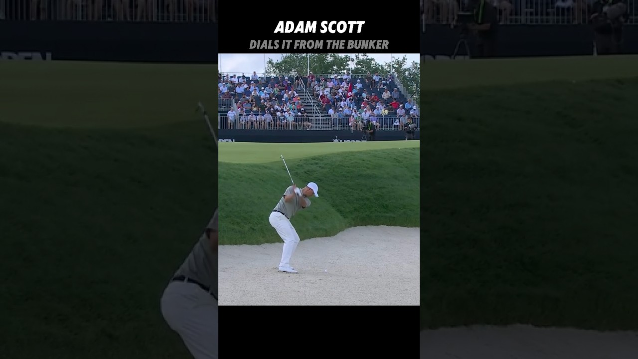 PGA Adam Scott Dials it From The Bunker #golf