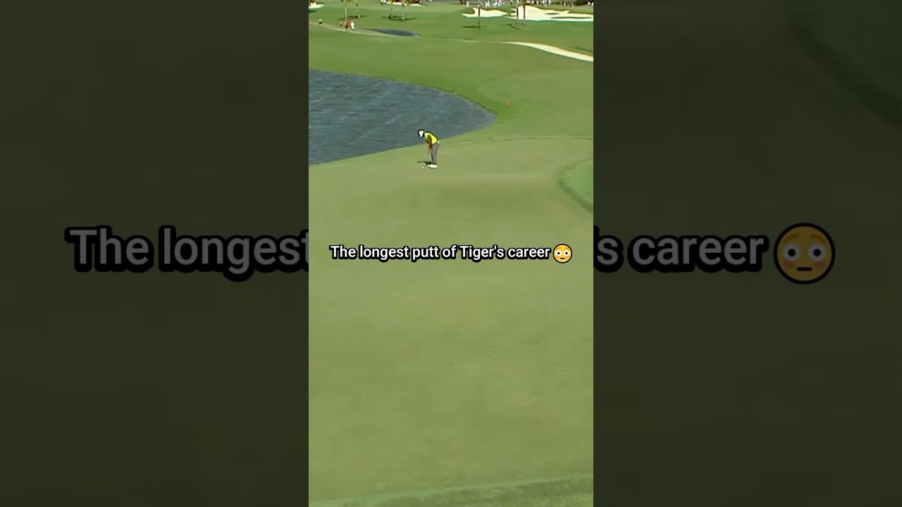 Tigers longest putt😳