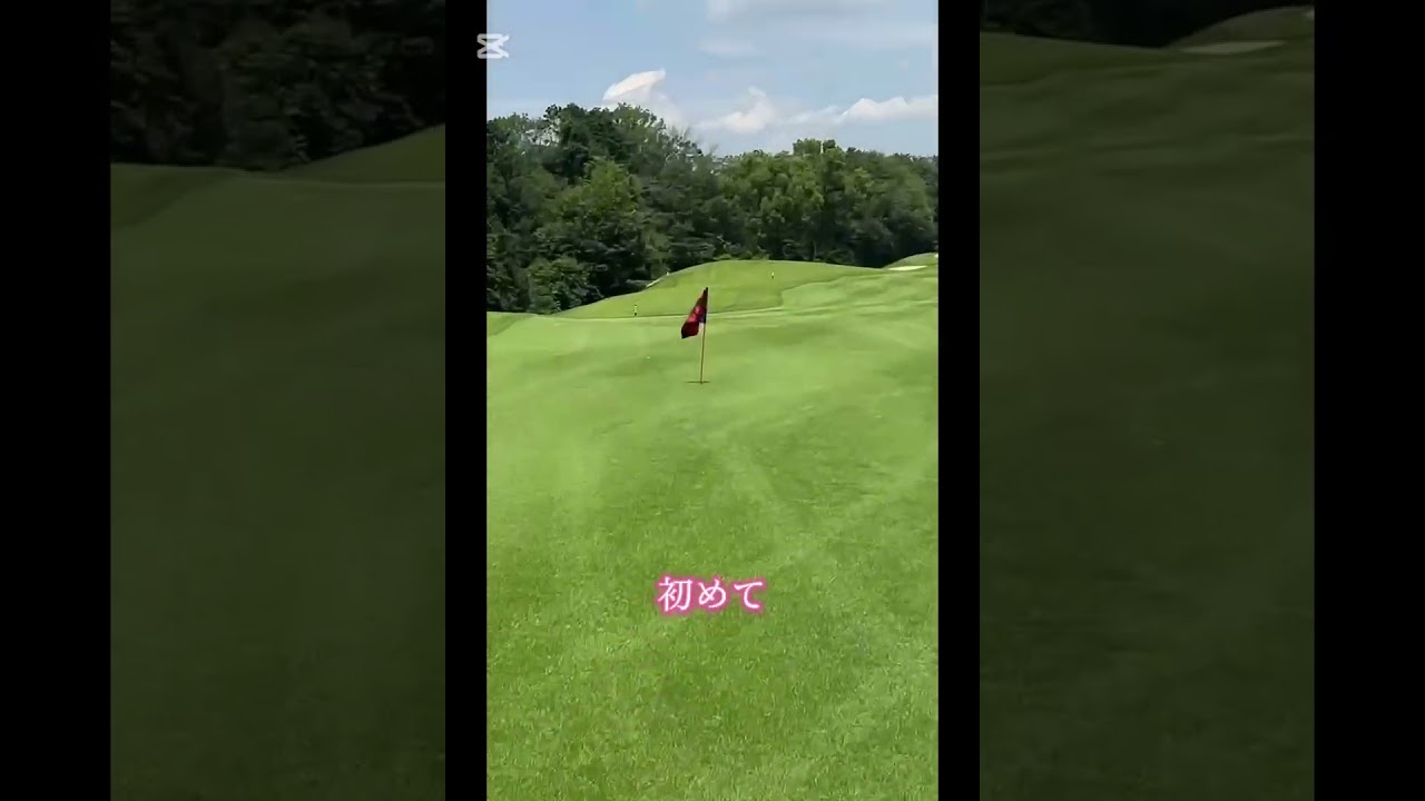 山本太郎、タイガー越えのドライブ！#ゴルフ #golf #ドライバー #アイアン #山本太郎 #タイガーウッズ