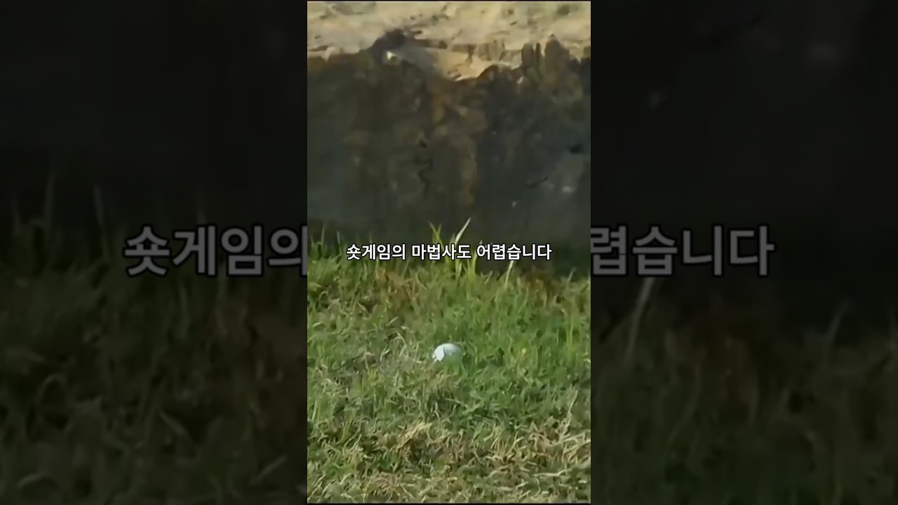 필 미켈슨 골프 역사상 최악의 홀중 하나입니다