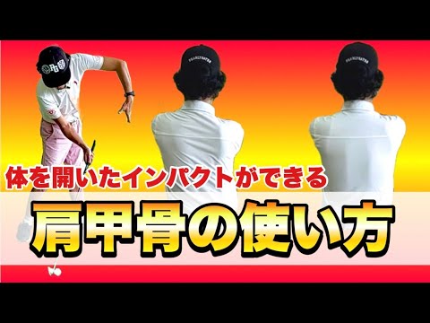 【掌屈と肩甲骨の使い方の意外な関係性】体を開いたインパクトは、実は上半身を閉じている感覚だった！？