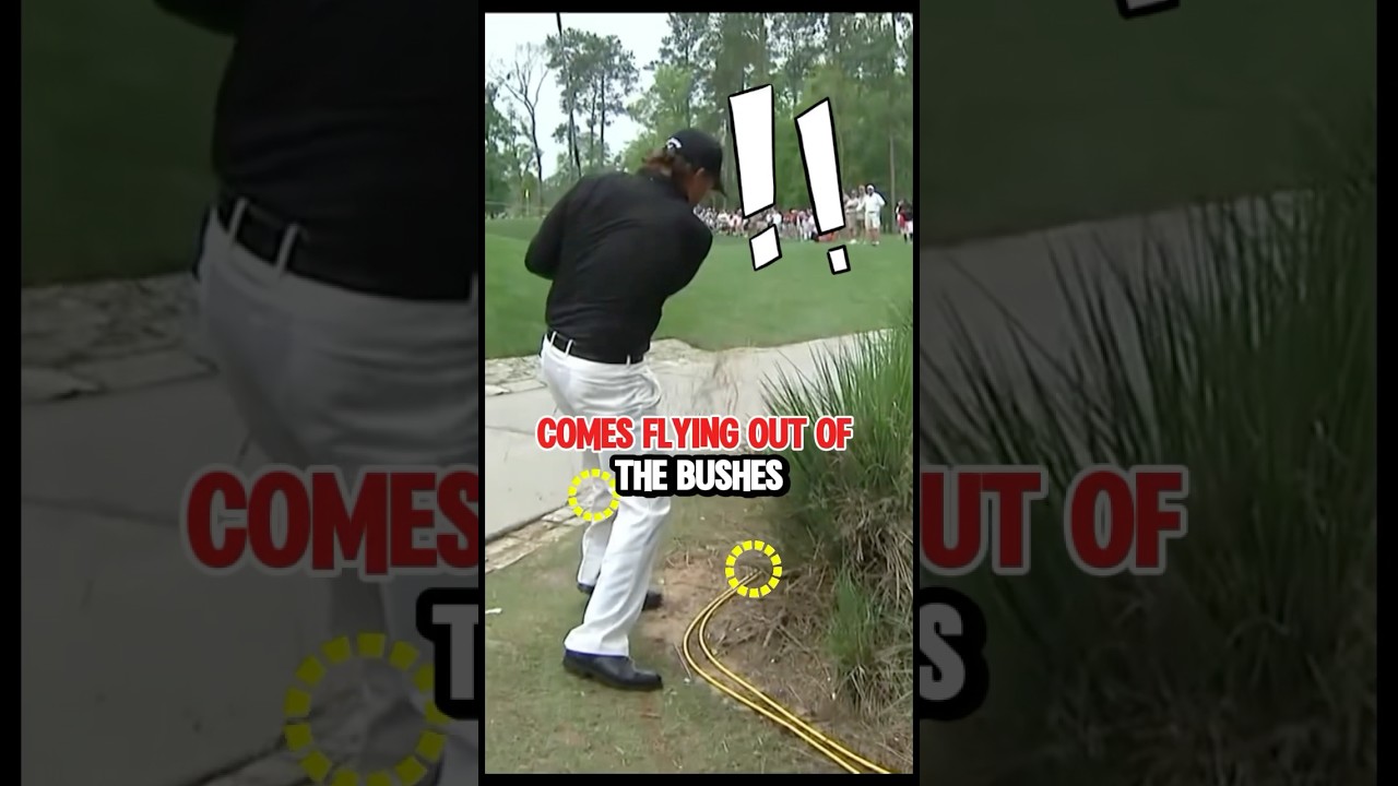 WAIT..!! Phil Mickelson Hit Which Ball?!🤔