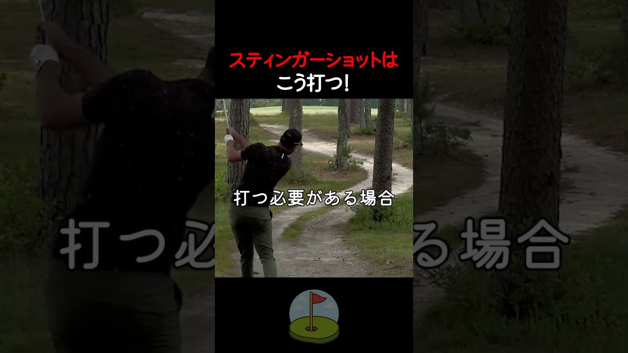 スティンガーショットはこう打つ！