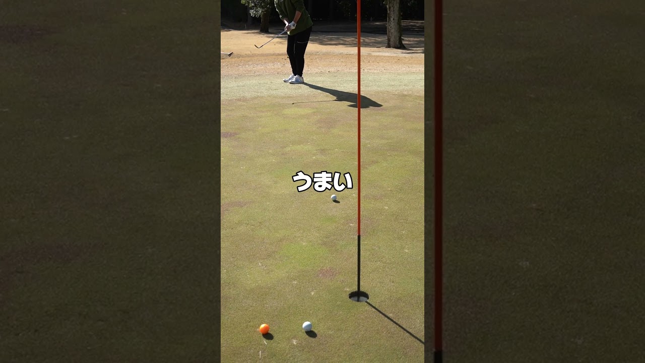 ダイエットにしないとモデルクビになる件について