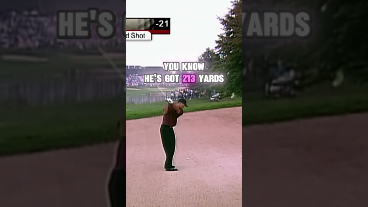 Tiger Woods best shot ever  #golf #shorts