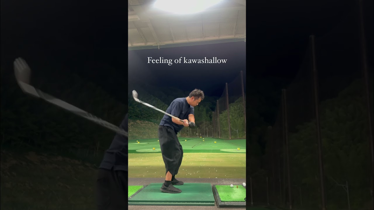 If you look at "kawashallow's secret", you will understand my daily postings better.