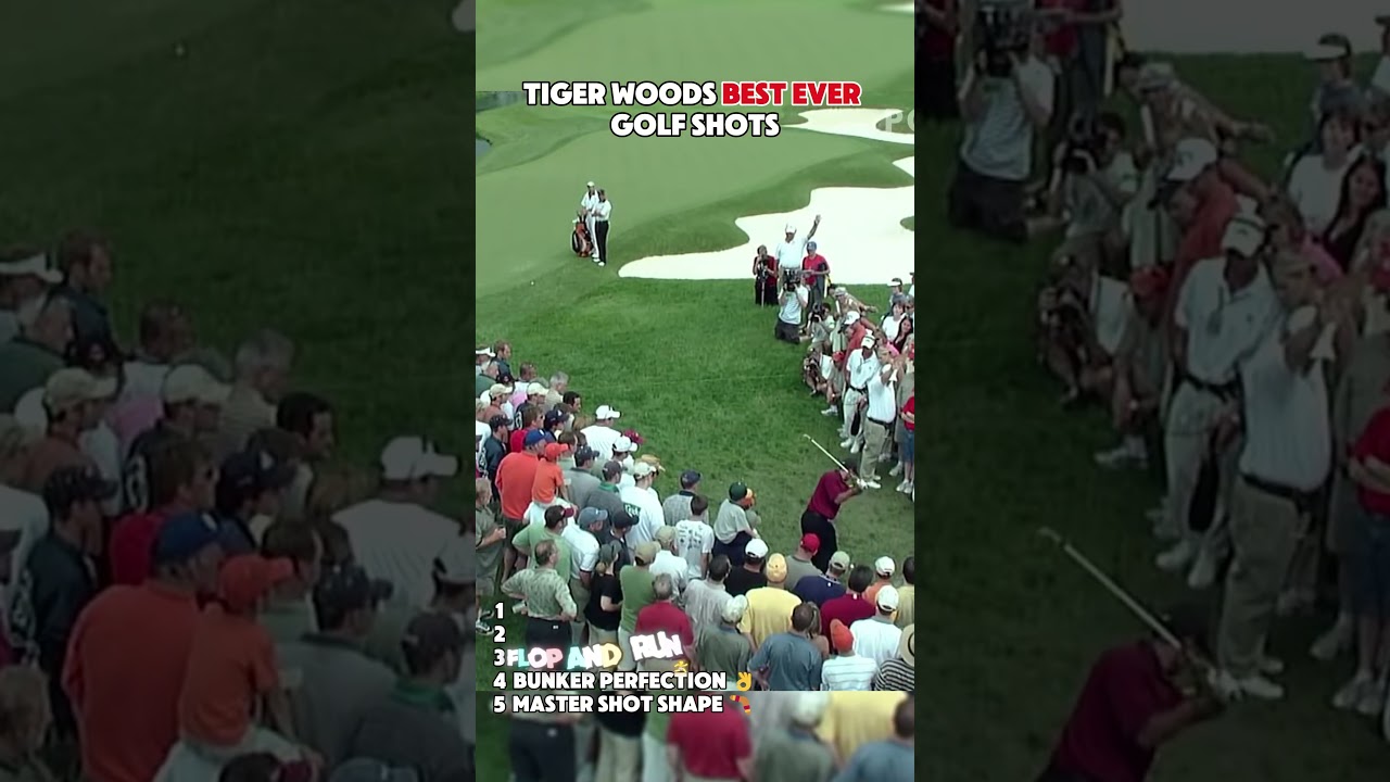 The Best of Tiger Woods