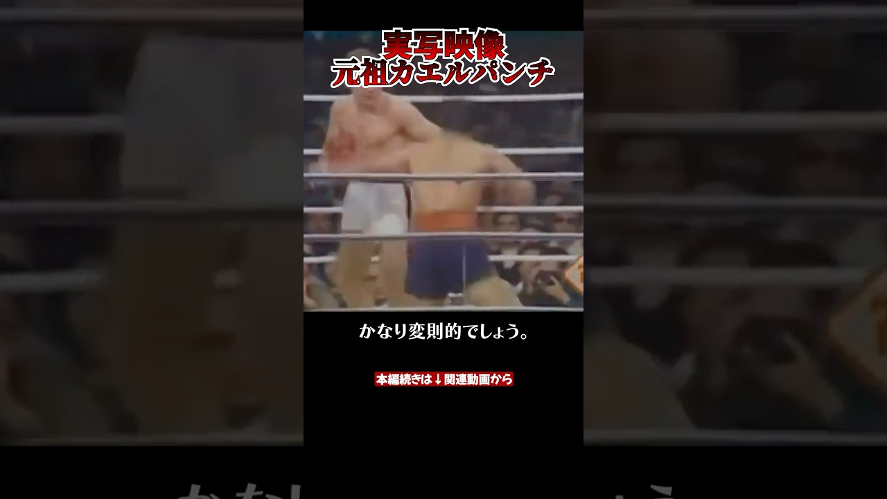 元祖カエルパンチの実際の映像がこちら【格闘技解説】#はじめの一歩