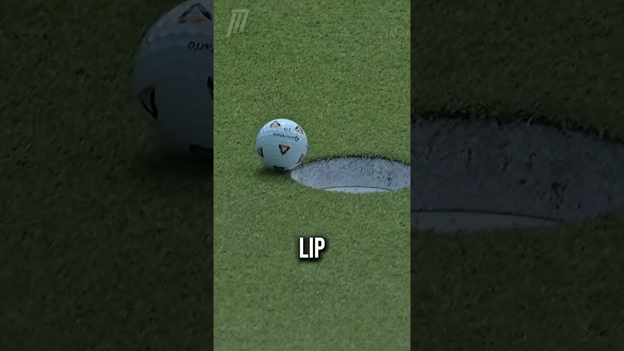 He Won $2 Million Thanks To A Fly 😵 (@pgatour)