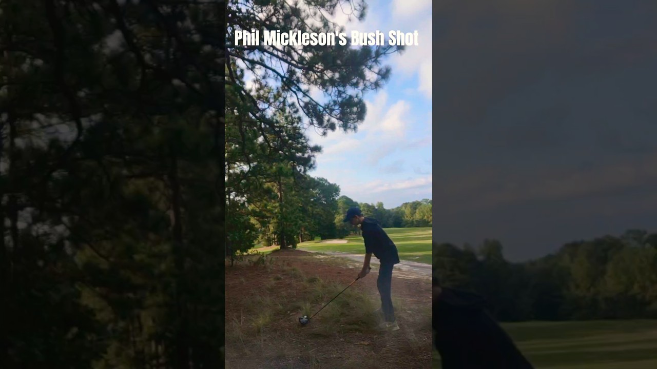 Phil Mickleson's Bush Shot #golf #philmickelson #pga #pgaprofessional #golfer #pgagolfer #golfswing