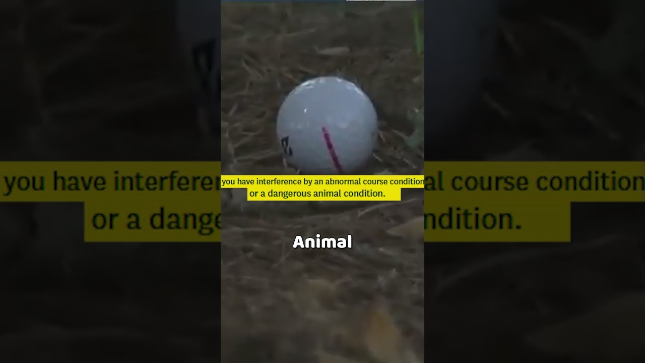 ブライソン・デシャンボーが不正行為を試みた！