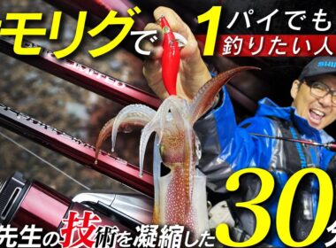 1パイでも多くイカを釣りたい人におくる、イカ先生のオモリグ講座【with セフィアリミテッド メタルスッテ】