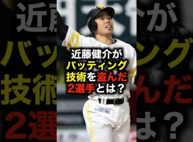近藤健介がバッティング技術を盗んだ2選手とは？ #野球 #近藤健介 #野球解説