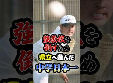 強豪校を倒すために県立校に進んだ「中学日本一の英雄」に関する雑学　#野球 #高校野球 #甲子園